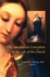 Image for Immaculate Conception in the Life of the Church
