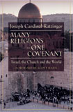 Image for Many Religions, One Covenant